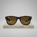 Gafas de sol New Wayfarer (Inspiración Ray-Ban) Color marrón 03 copia.webp