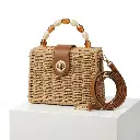 Bolso rigido pequeño Donna 04.webp
