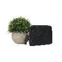 Monedero motivo Oso (Inspiración Tous) Color negro 01.webp