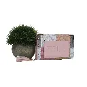 Monedero siluetas Osos (Inspiración Tous) Color rosa.webp