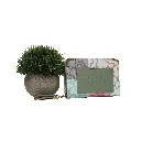 Monedero siluetas Osos (Inspiración Tous) Color verde.webp