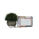 Monedero siluetas Osos (Inspiración Tous) Color blanco.webp