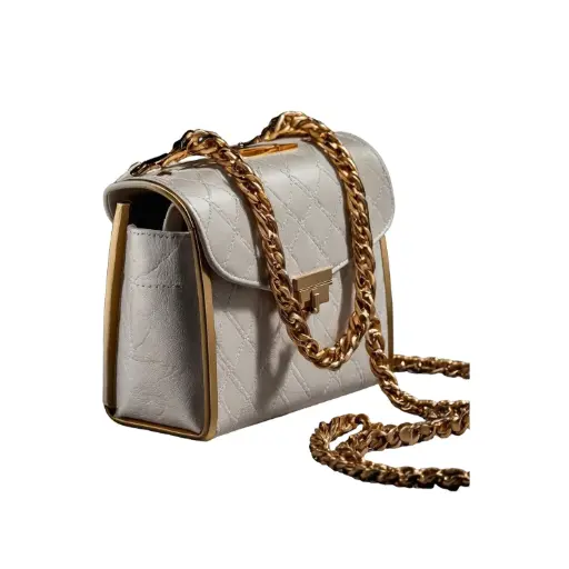 ZZ_Cartera de Mano con Cadena Dorada